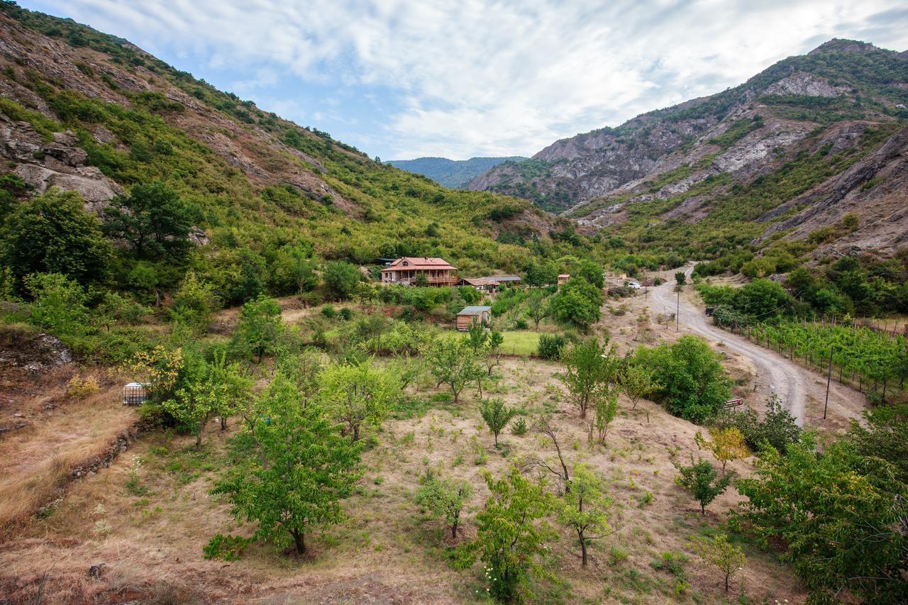 Nika Vacheishvili'S Guest House Didi Ateni Εξωτερικό φωτογραφία