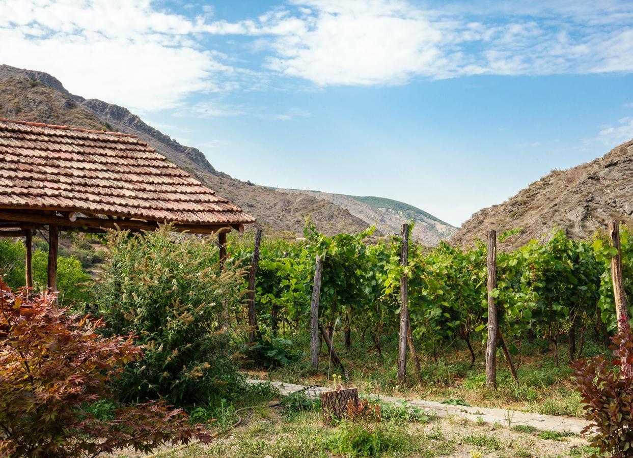 Nika Vacheishvili'S Guest House Didi Ateni Εξωτερικό φωτογραφία