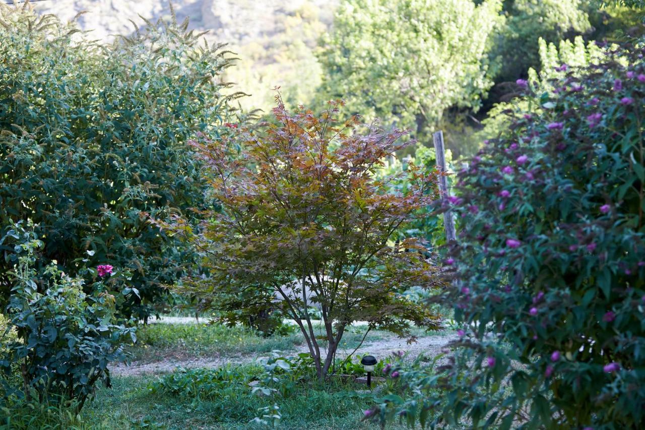 Nika Vacheishvili'S Guest House Didi Ateni Εξωτερικό φωτογραφία